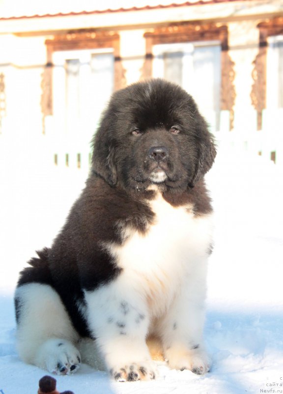 Фото: Тайфун