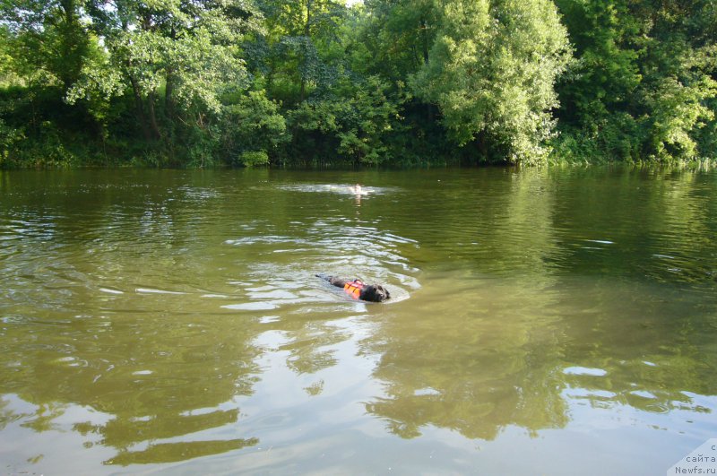 Фото: Вера Гончарова