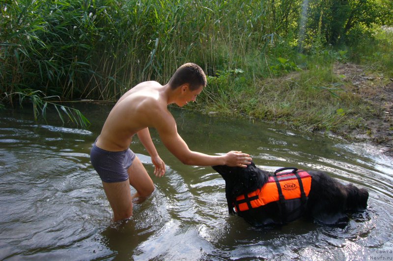 Фотография № 219574