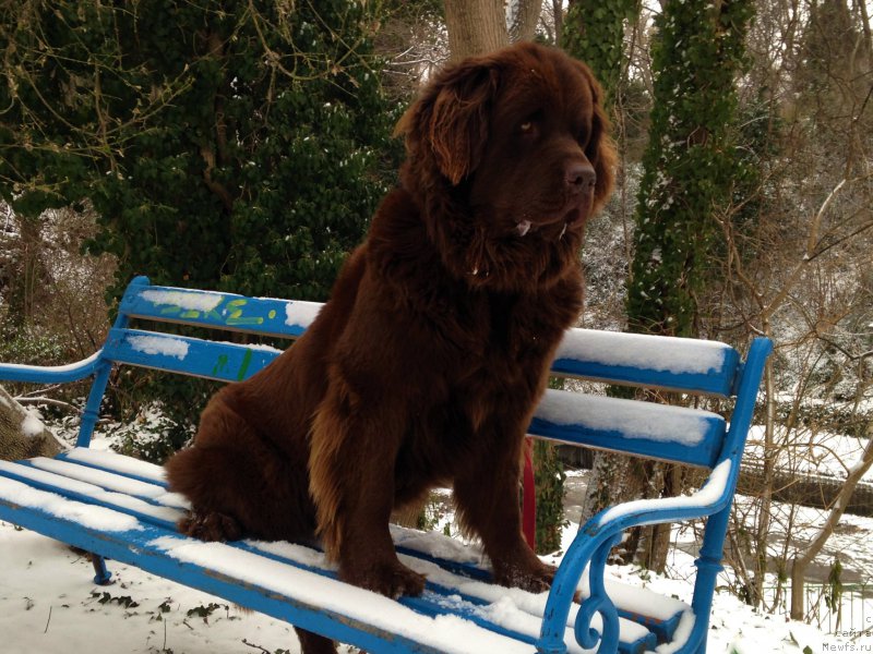 Фотография № 219587