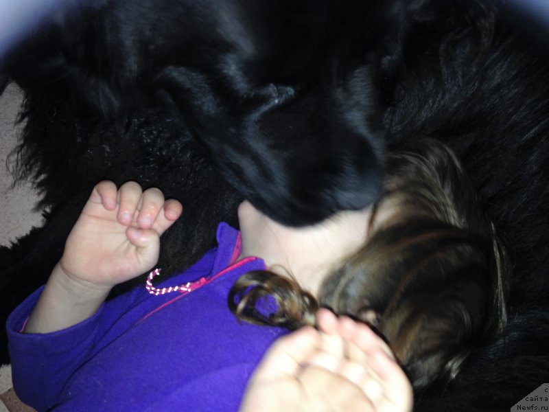 Фотография № 219591