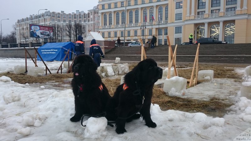 Фотография № 219593