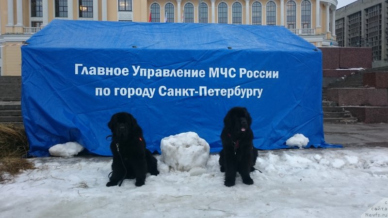 Фотография № 219594