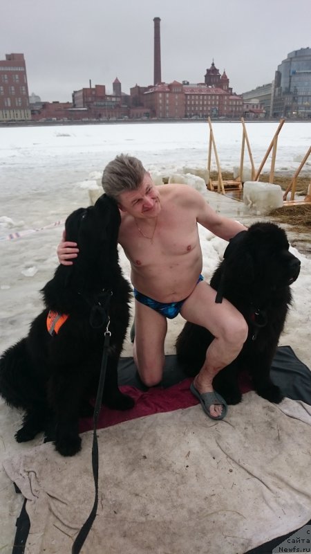 Фотография № 219596