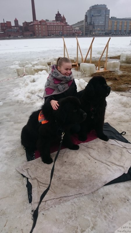 Фотография № 219597