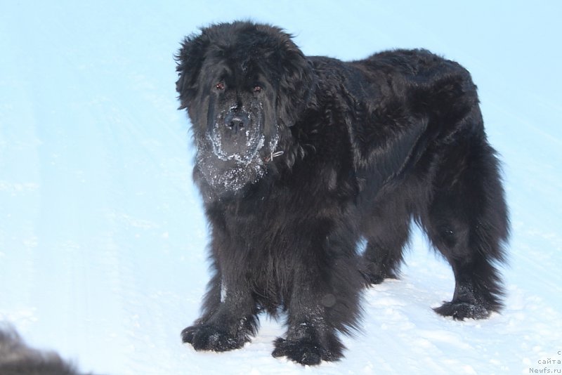 Фотография № 219633