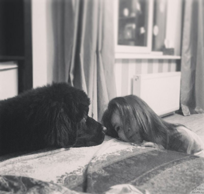 Фотография № 219635