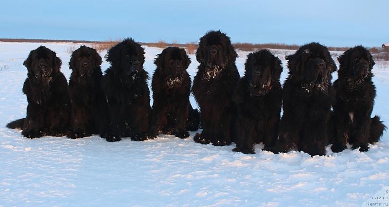 Фотография № 219657