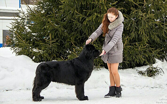 Фотография № 219667