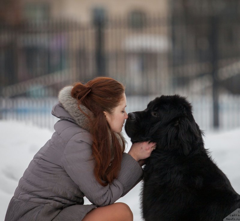 Фотография № 219668