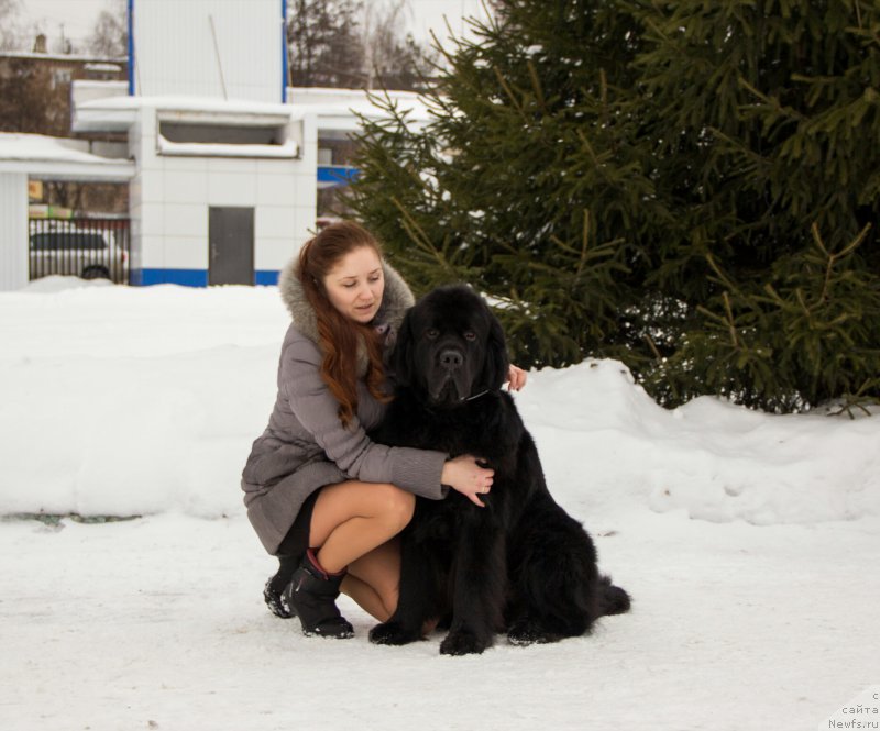 Фотография № 219669