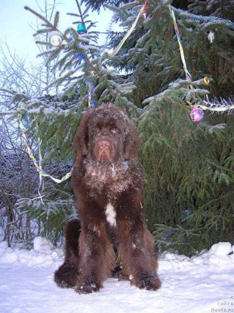 Фотография № 21970