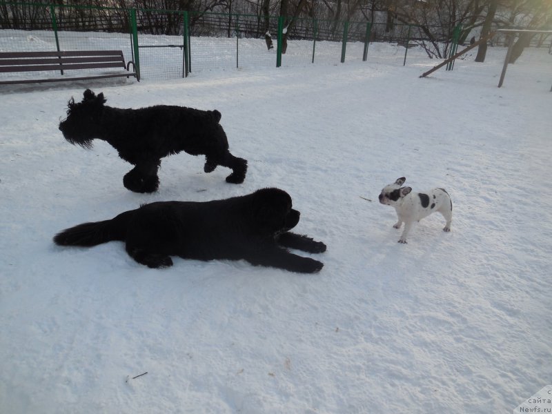 Фотография № 219700