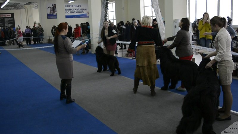 Фотография № 219705