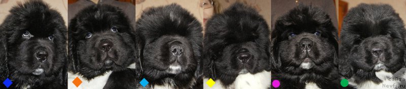 Фотография № 219707