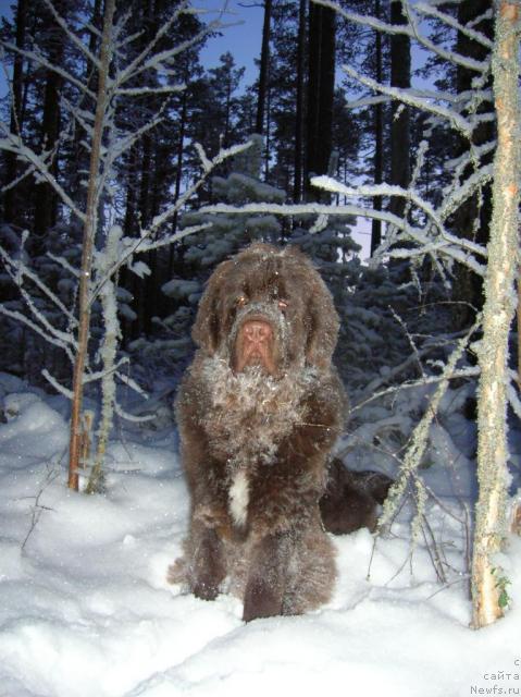 Фотография № 21971