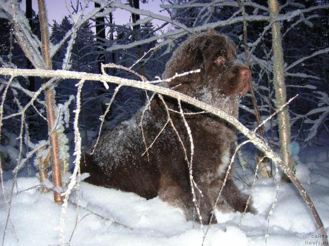 Фотография № 21972