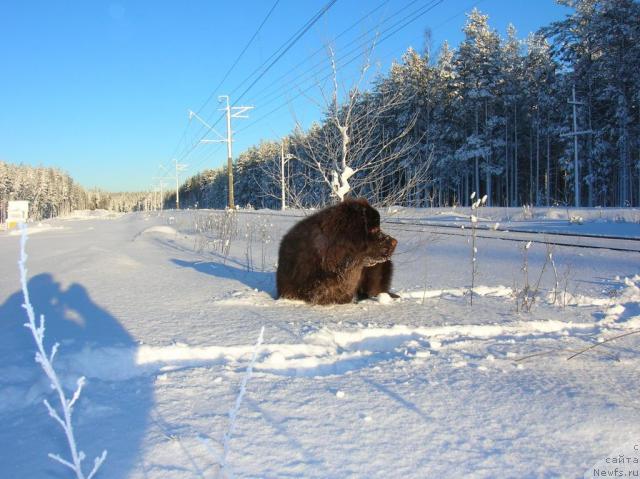 Фотография № 21973