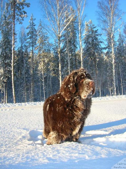 Фотография № 21974