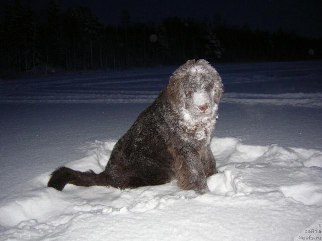 Фотография № 21977