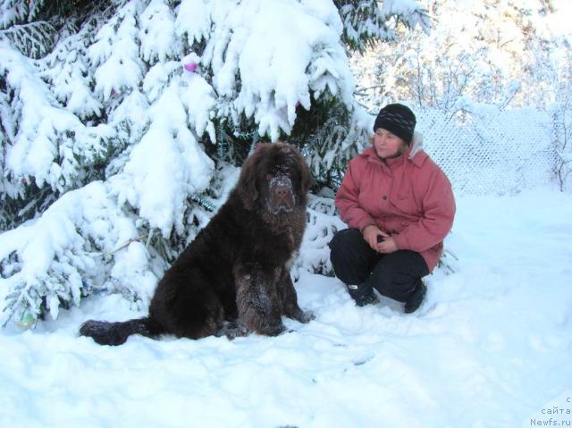 Фотография № 21978