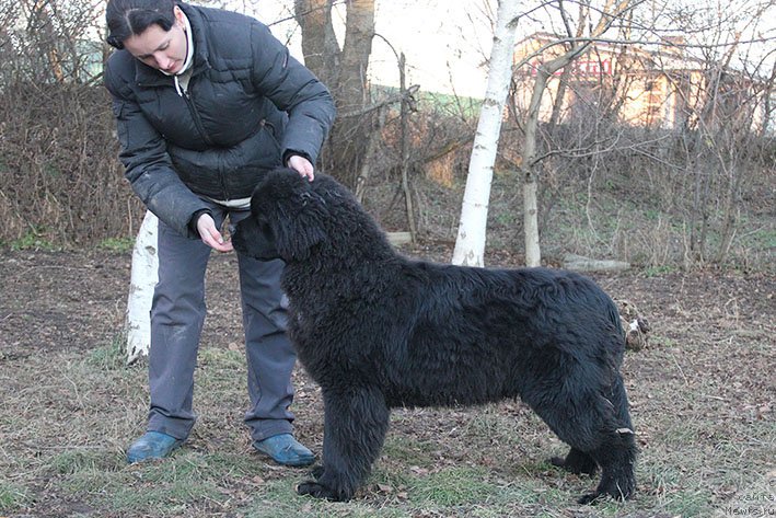 Фотография № 219791