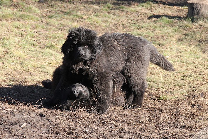 Фотография № 219805