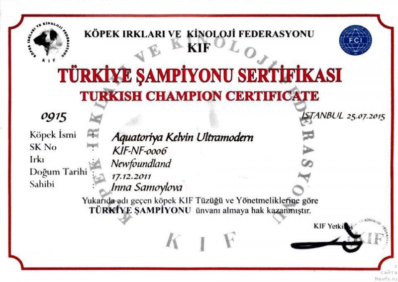 Фото: ньюфаундленд Акватория Келвин Ультрамодерн (Aquatoria Kelvin Ultramodern)