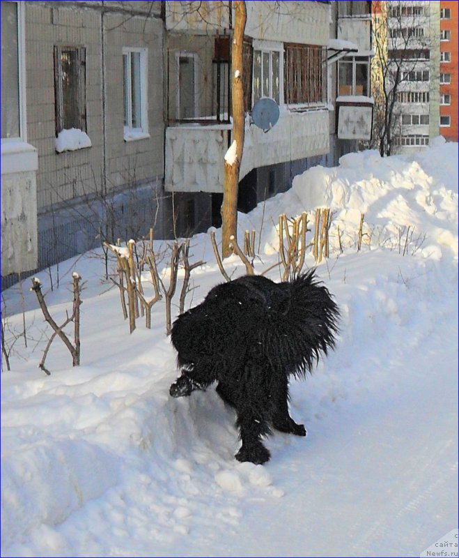 Фотография № 219838