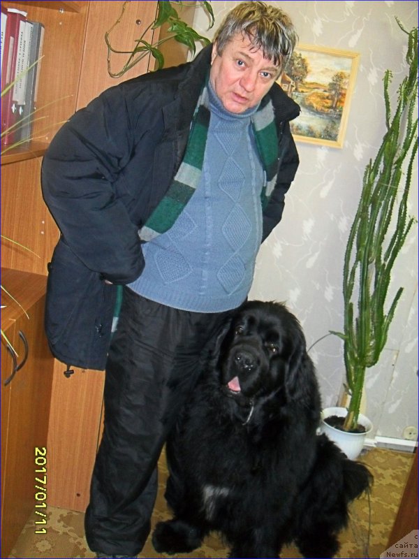 Фотография № 219840