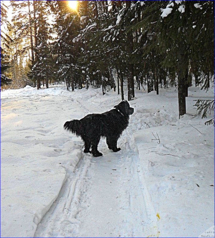 Фотография № 219845