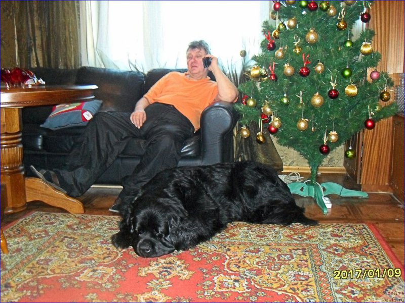 Фотография № 219847