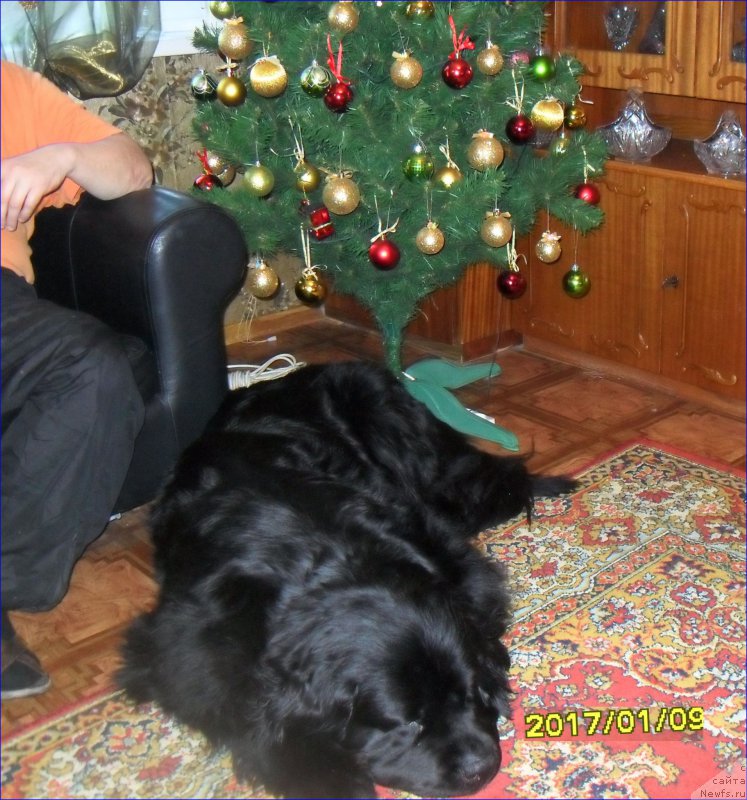 Фотография № 219848