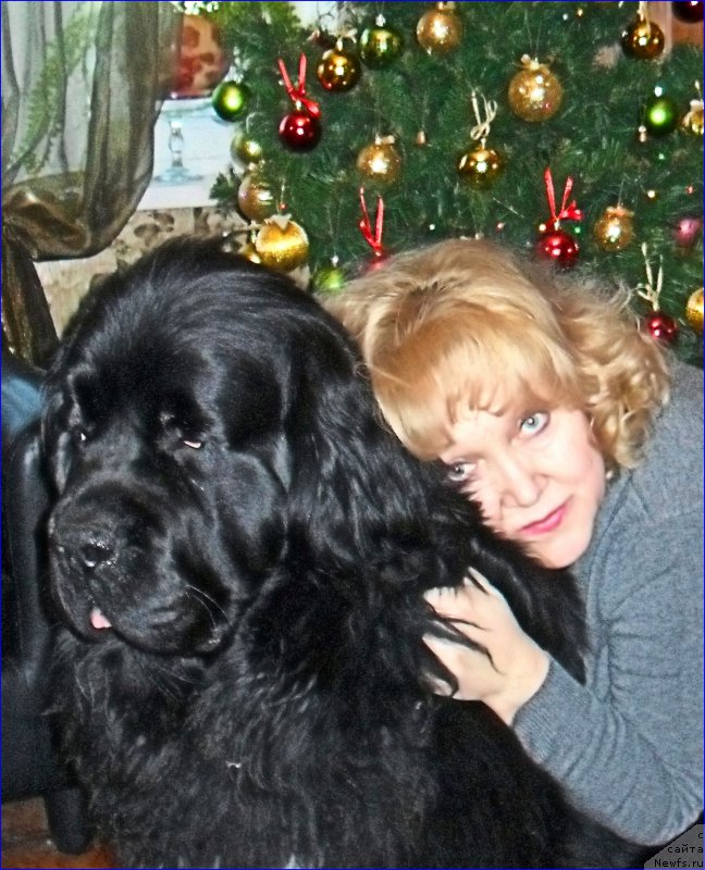 Фотография № 219851