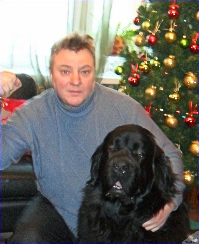 Фото: ньюфаундленд Супер Бизон Норберто, Георгий