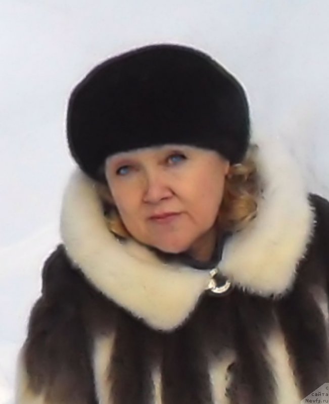 Фотография № 219856