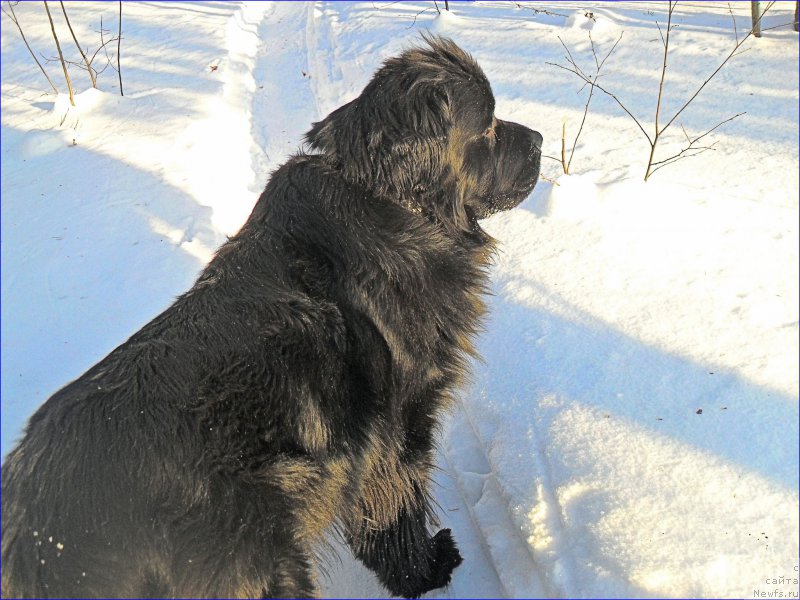 Фотография № 219857