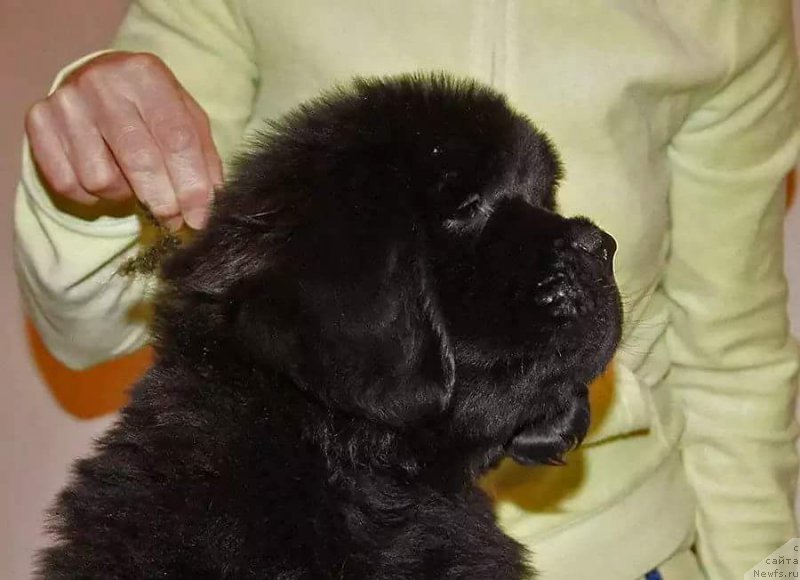 Фото: Ольга Кисельгоф