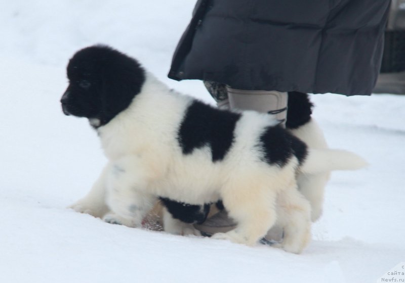 Фото: Аквиан Сонг Тиффани