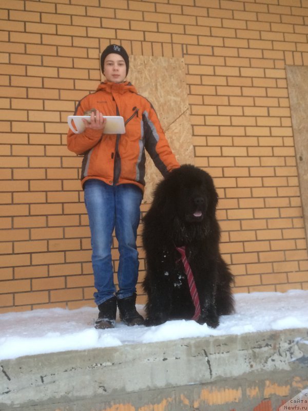 Фотография № 219980