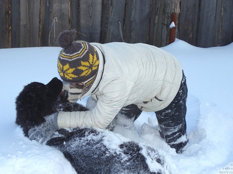 Фотография № 219999