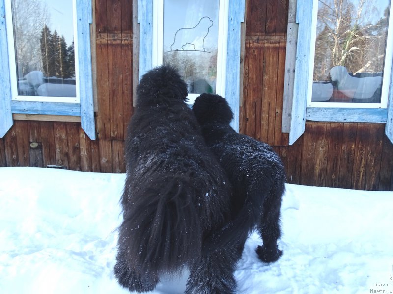 Фотография № 220003