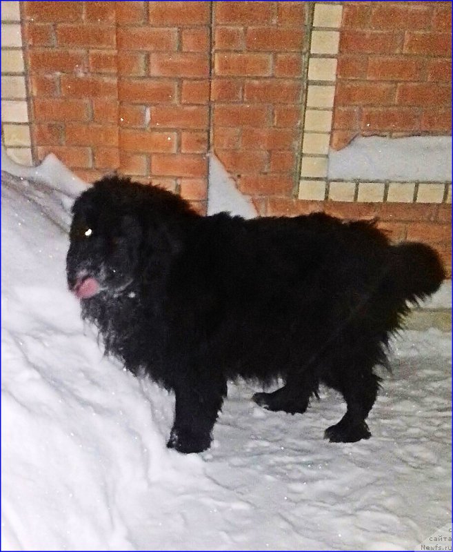 Фотография № 220021