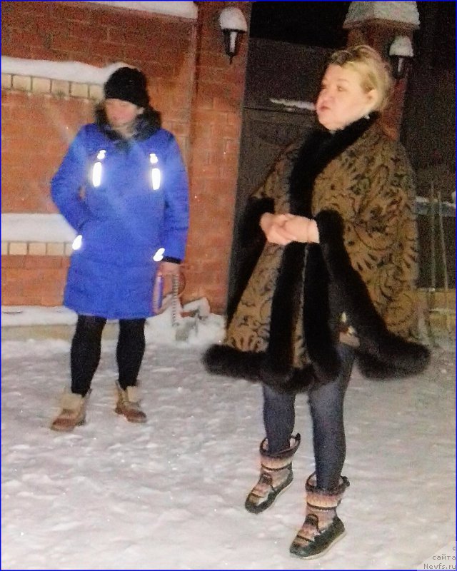 Фото: ньюфаундленд Акватория Келвин Черчилль