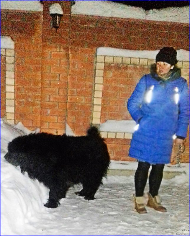 Фотография № 220030