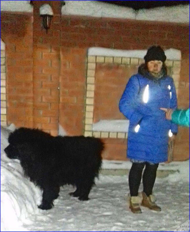 Фотография № 220031