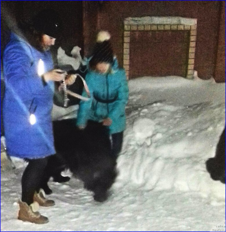 Фотография № 220042