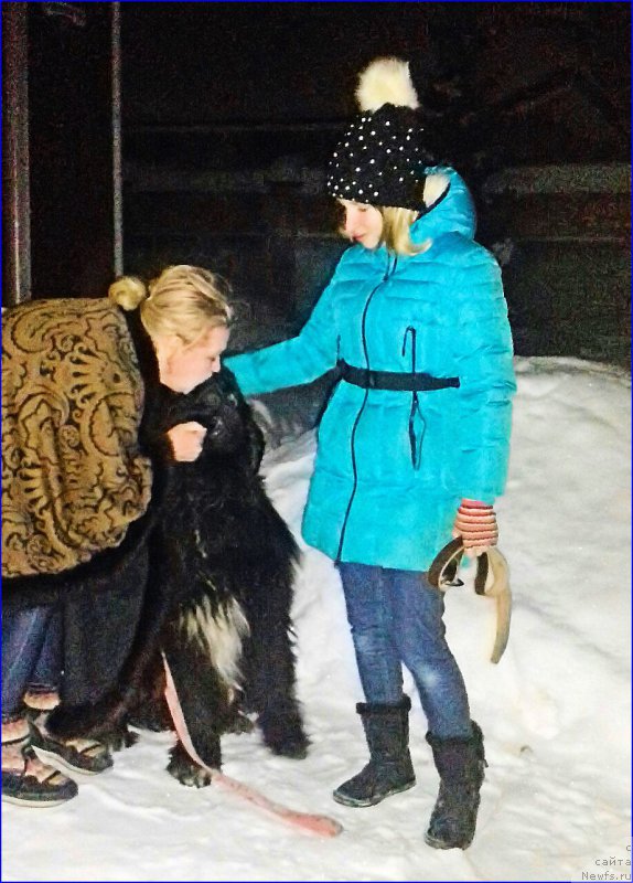 Фото: ньюфаундленд Акватория Келвин Черчилль