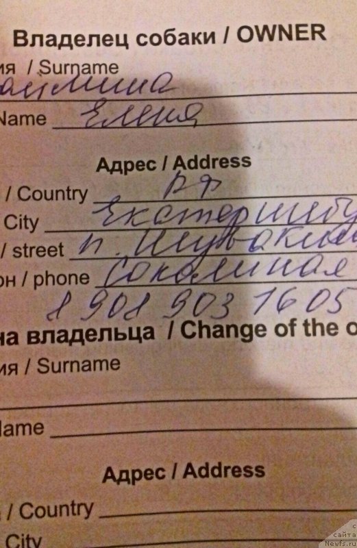 Фотография № 220044