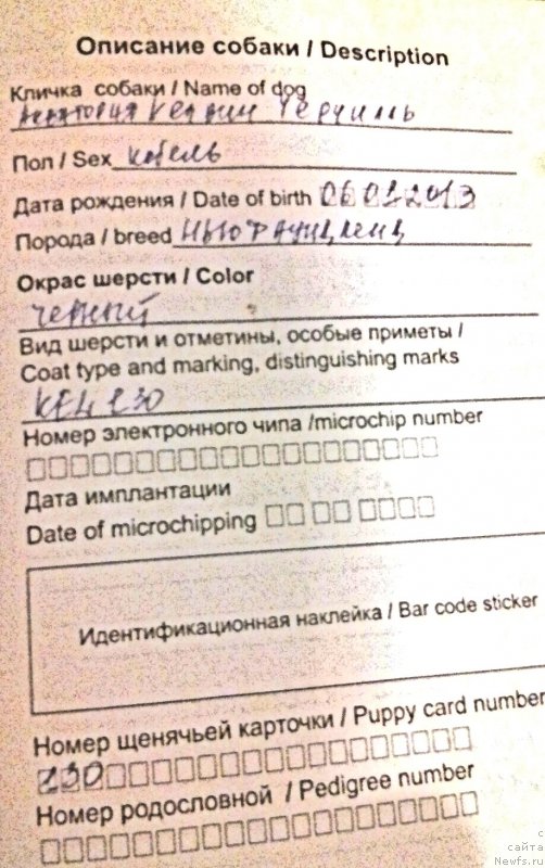 Фотография № 220045